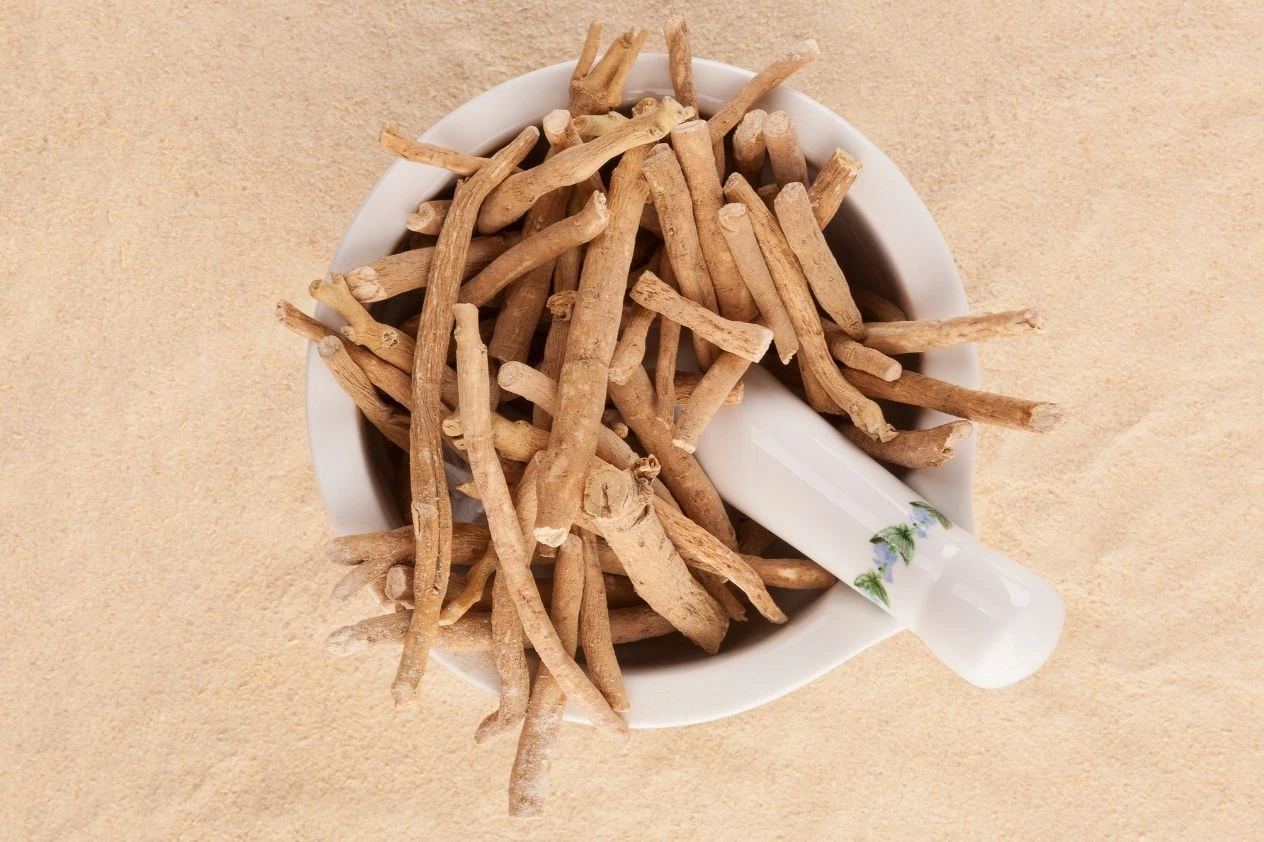 Ashwagandha Winter Cherry Plant